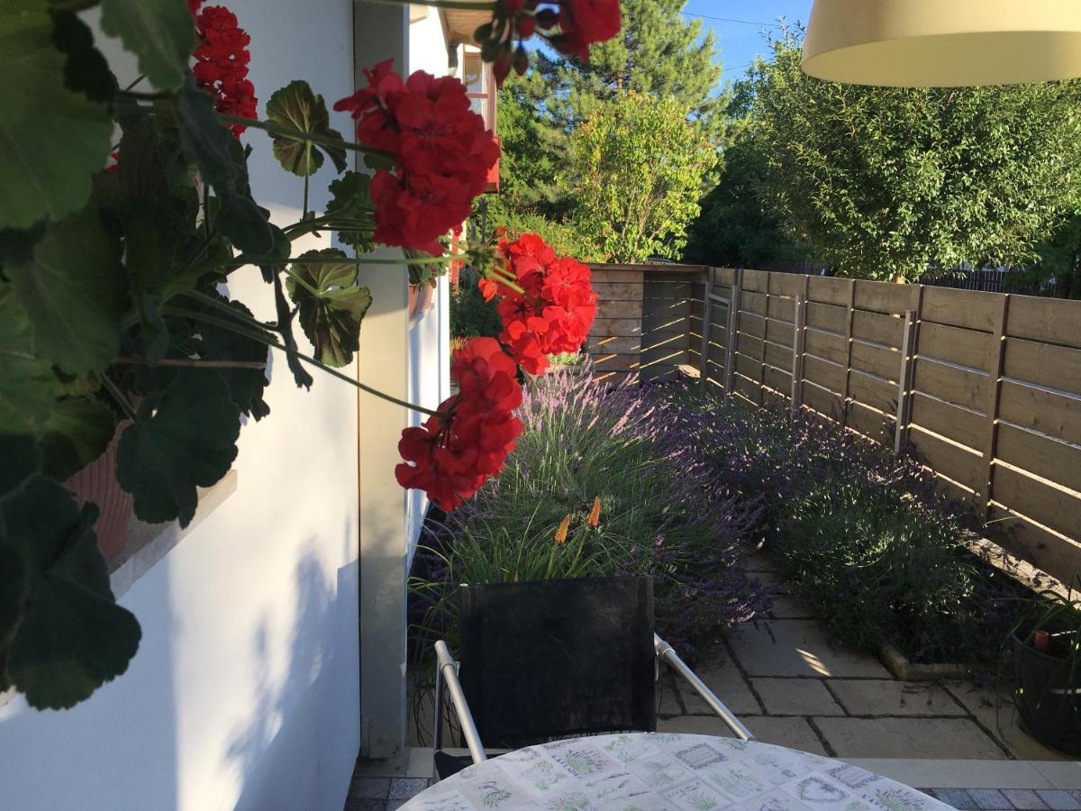 Szélrózsa apartmanház Velence Exterior foto